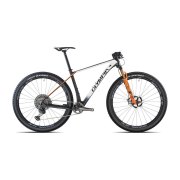 Olympia F1 Pro Carbonio Rock Shox SID SL Select RL 1